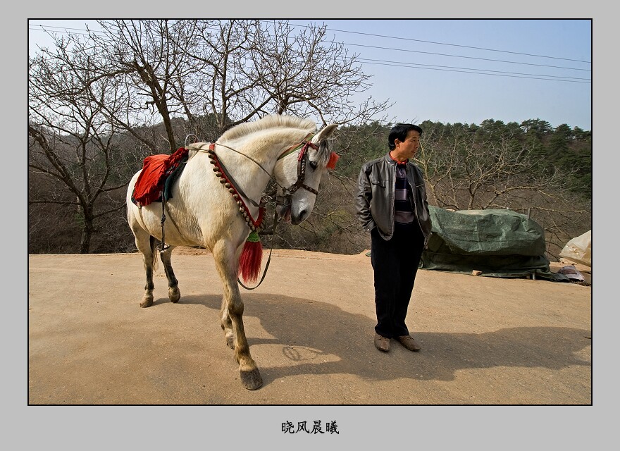 《稍息》 摄影 晓风晨曦