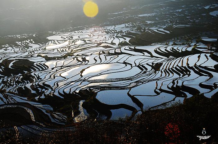 哈尼梯田 摄影 夕阳霞