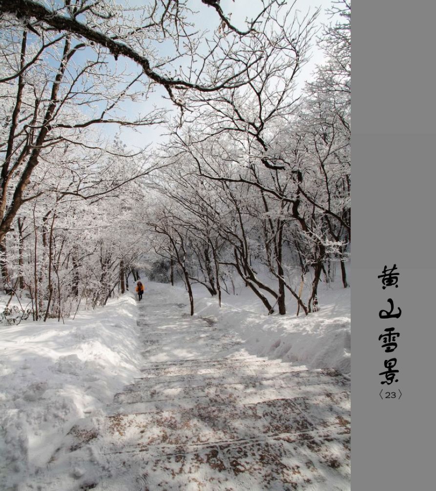 黄山雪景〈23〉2011〈036〉 摄影 季雨飞扬