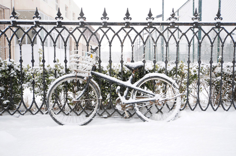 雪 摄影 与鱼共游