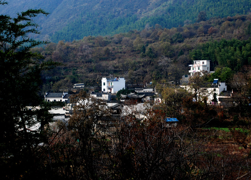 江南美景 摄影 大自然掠影