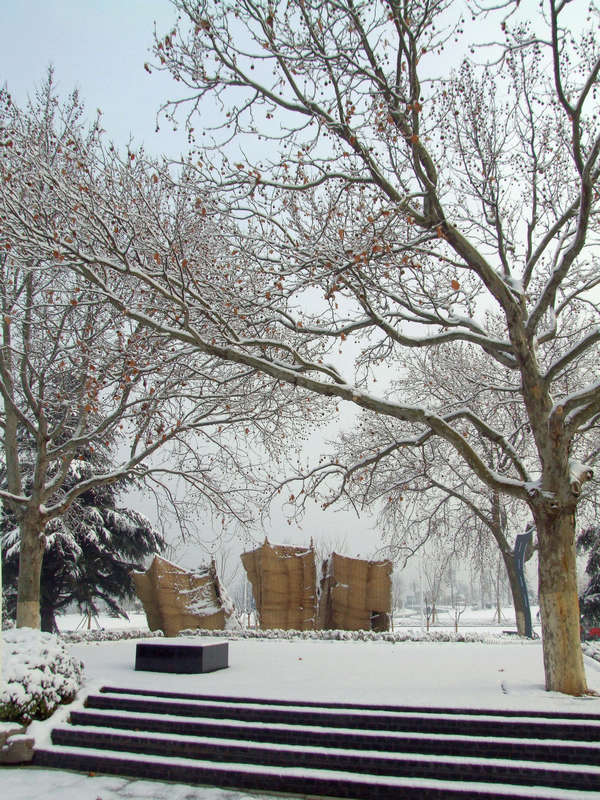 春雪[ 3 ] 摄影 彩蝶恋花