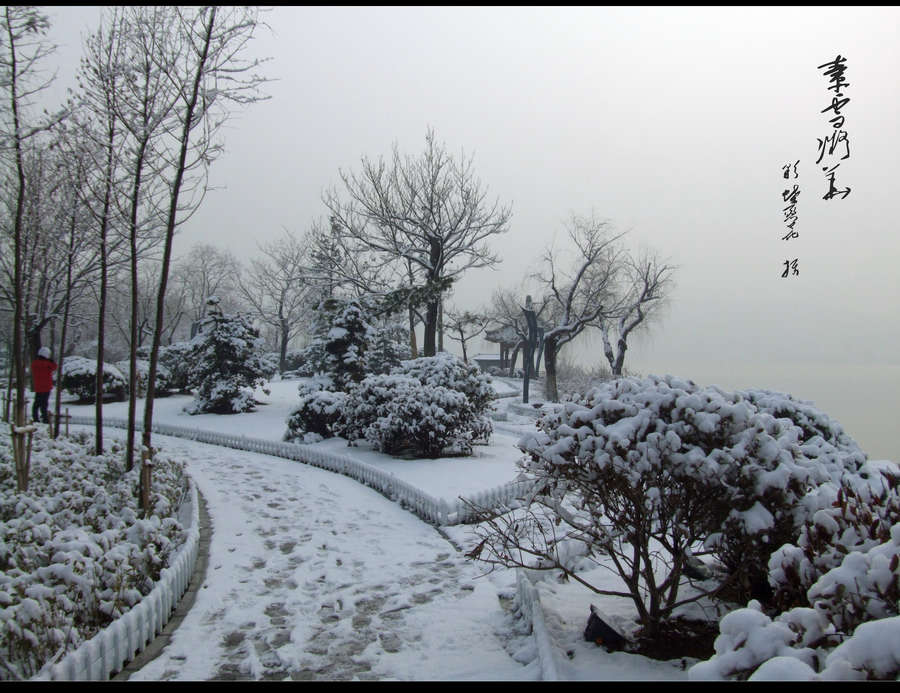 春雪[ 4 ] 摄影 彩蝶恋花