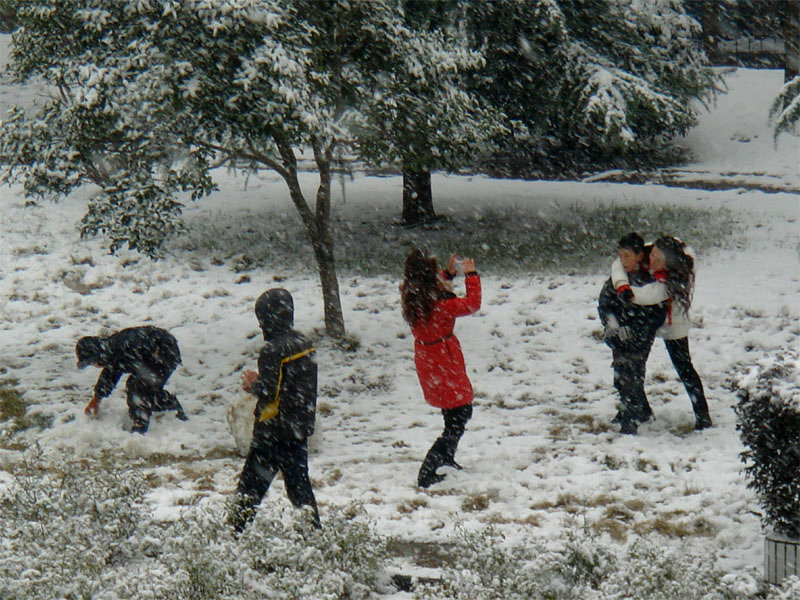 屋前雪景 摄影 仙人树