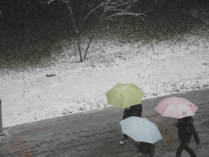 那场雪 摄影 柳叁