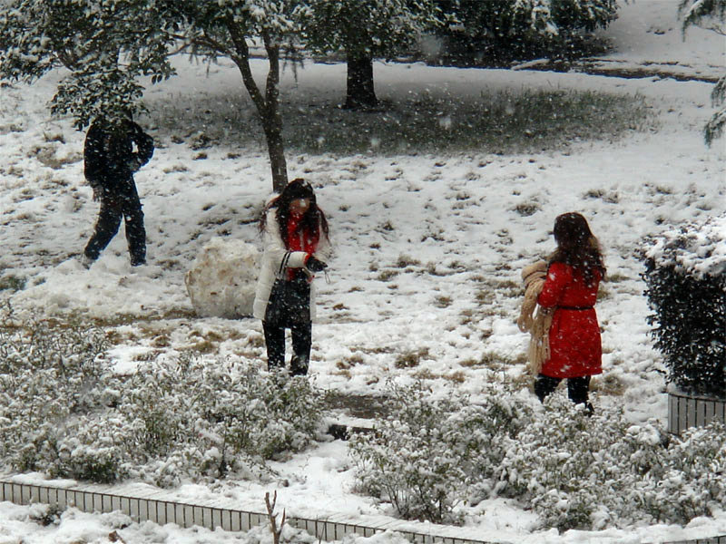 屋前雪景 摄影 仙人树