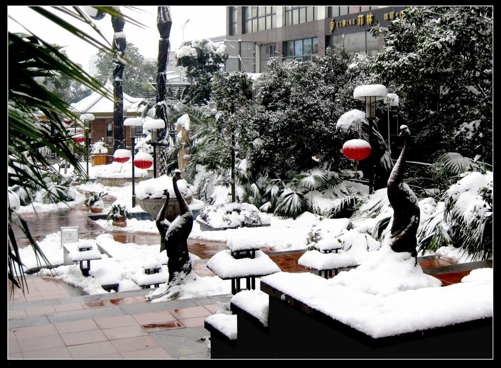 庭院雪景 摄影 红山竹