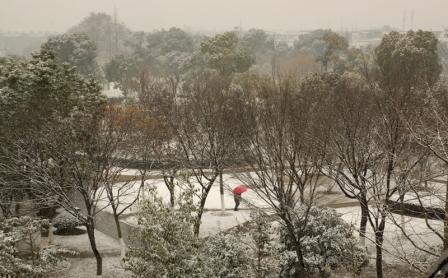 苏州--雪 摄影 中年胖