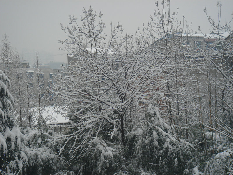 屋前雪景 摄影 仙人树