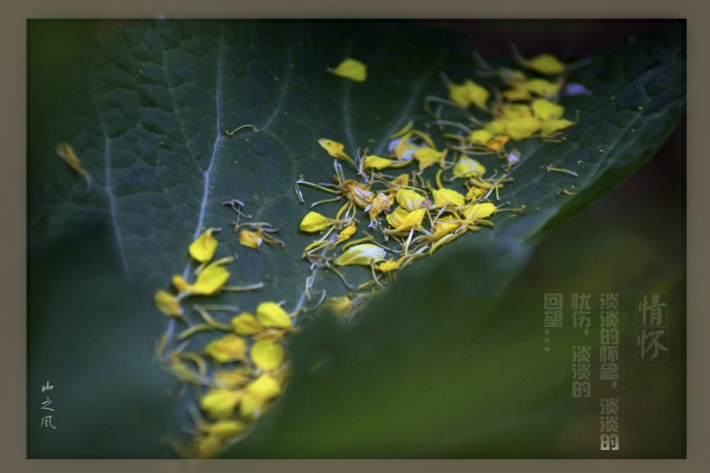 情怀 摄影 山之风