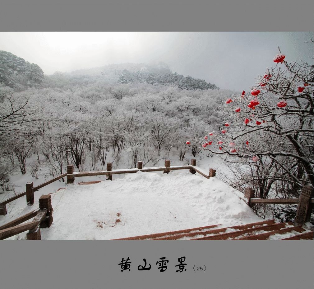 黄山雪景〈25〉2011〈38〉 摄影 季雨飞扬