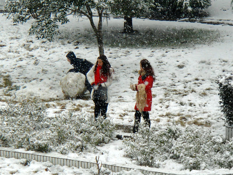 屋前雪景 摄影 仙人树