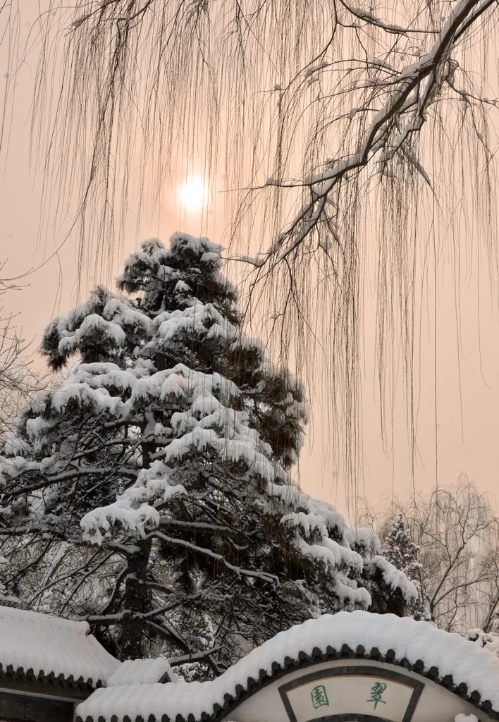 瑞雪映日 摄影 蓑翁独钓