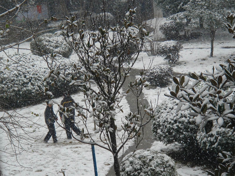 屋前雪景 摄影 仙人树