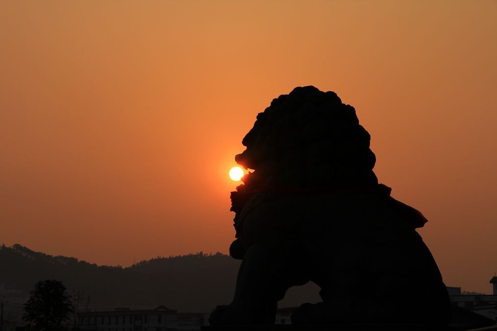 夕阳光影 摄影 郑大山人