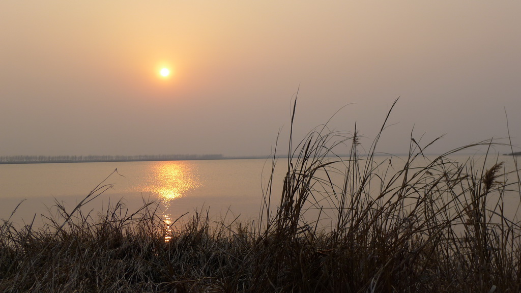 崇明—北湖夕阳 摄影 letian_yang