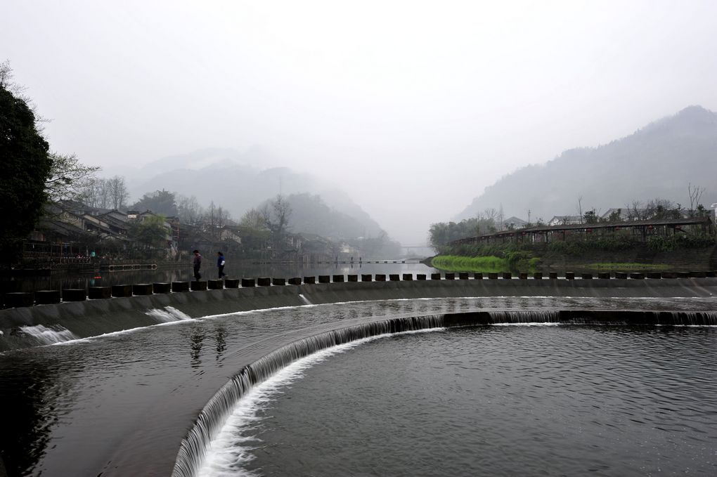 烟雨柳江 摄影 新蝶恋花