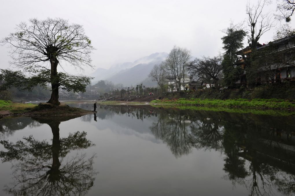 烟雨柳江 摄影 新蝶恋花