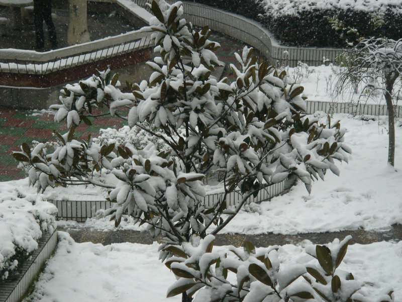 屋前雪景 摄影 仙人树