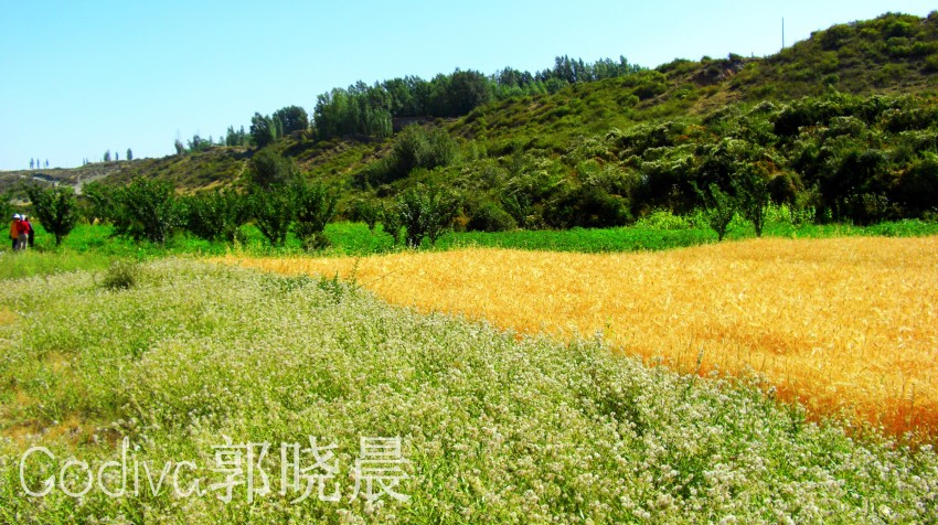 彩色的线条 摄影 郭晓晨