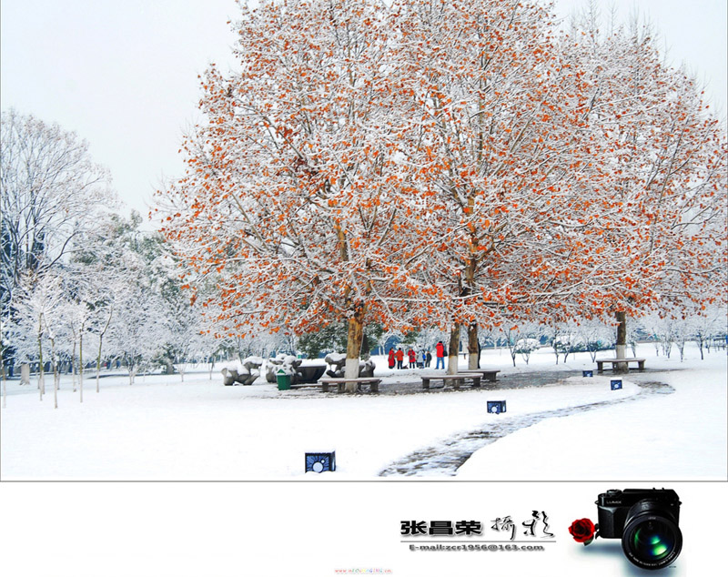 雪景 摄影 烟收坝主