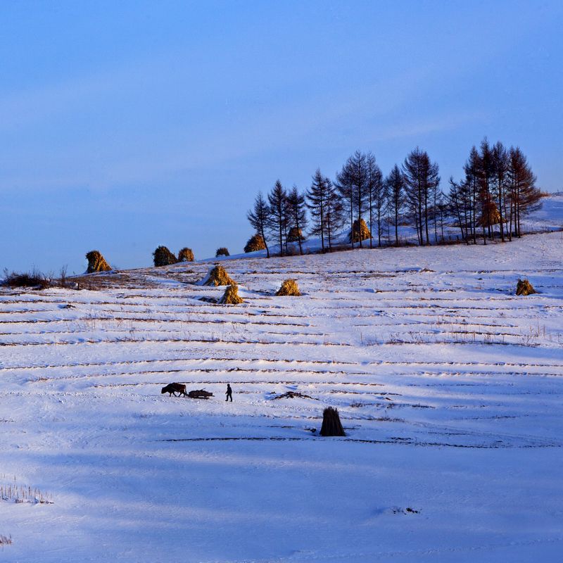 雪村冬韵 摄影 星光大道