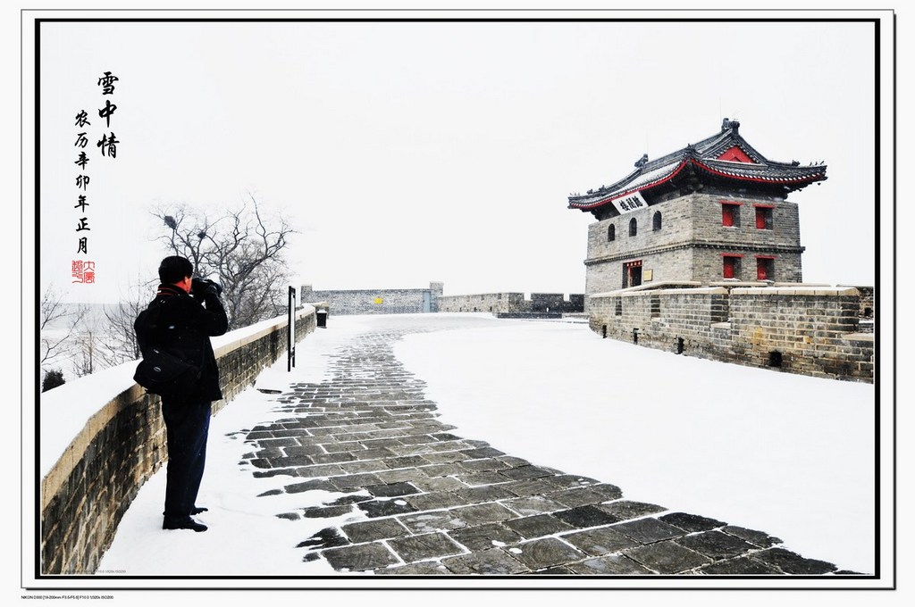 雪中情 摄影 大风起兮-1