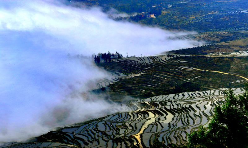 梯田 摄影 九里堤