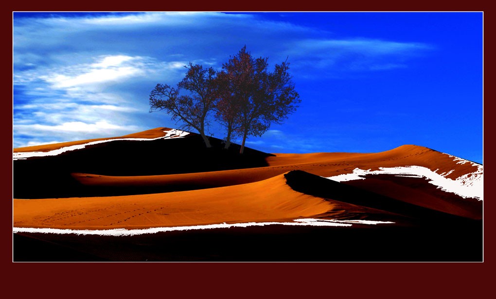 沙漠中的希望 摄影 紫风1022