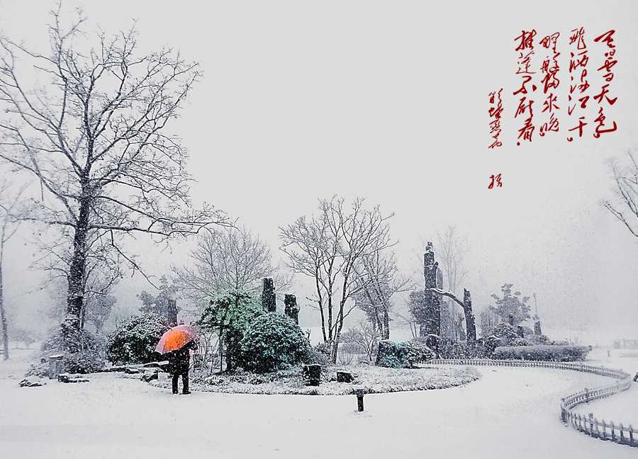 春雪天一色 摄影 彩蝶恋花