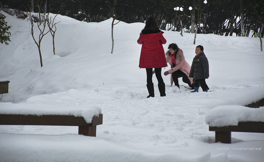 雪韵3 摄影 湘麓