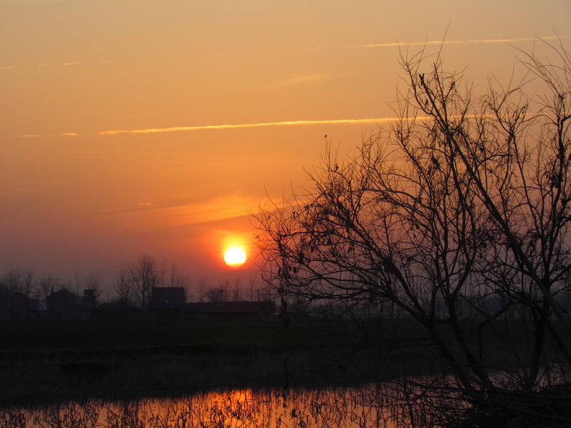 乡村夕阳 摄影 乔歌