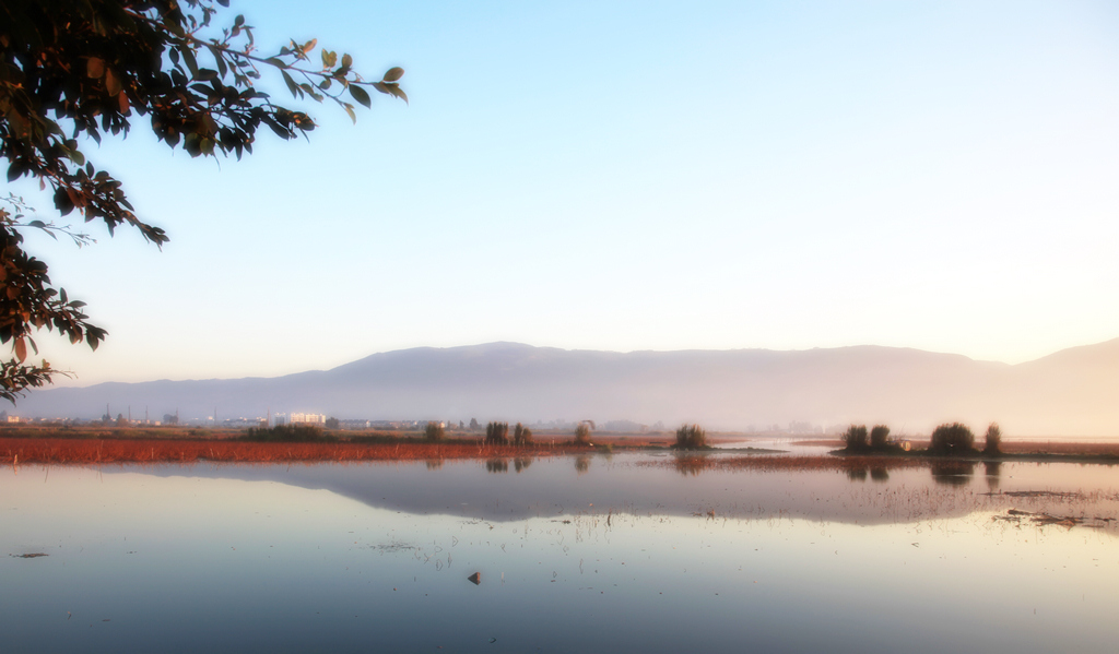 家乡小景 摄影 异龙湖歌