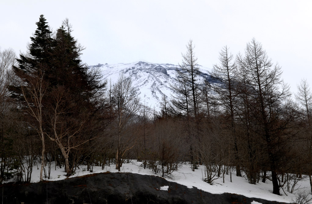 日本富士山近眺 摄影 林雨