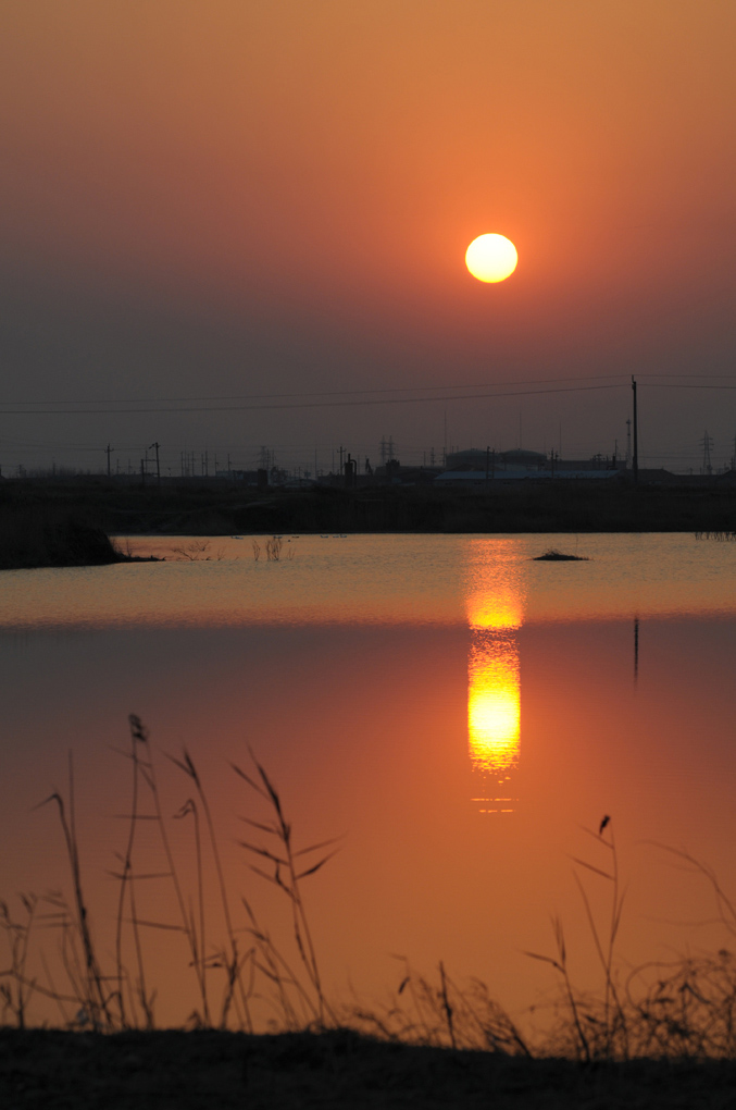 夕阳红 摄影 ziwei2010