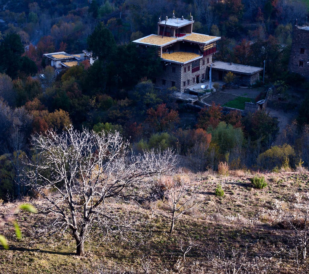 川西风光——秋天的早晨 摄影 参宿七