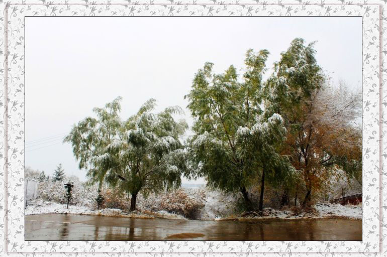 北方的第一雪 摄影 康乐情怀