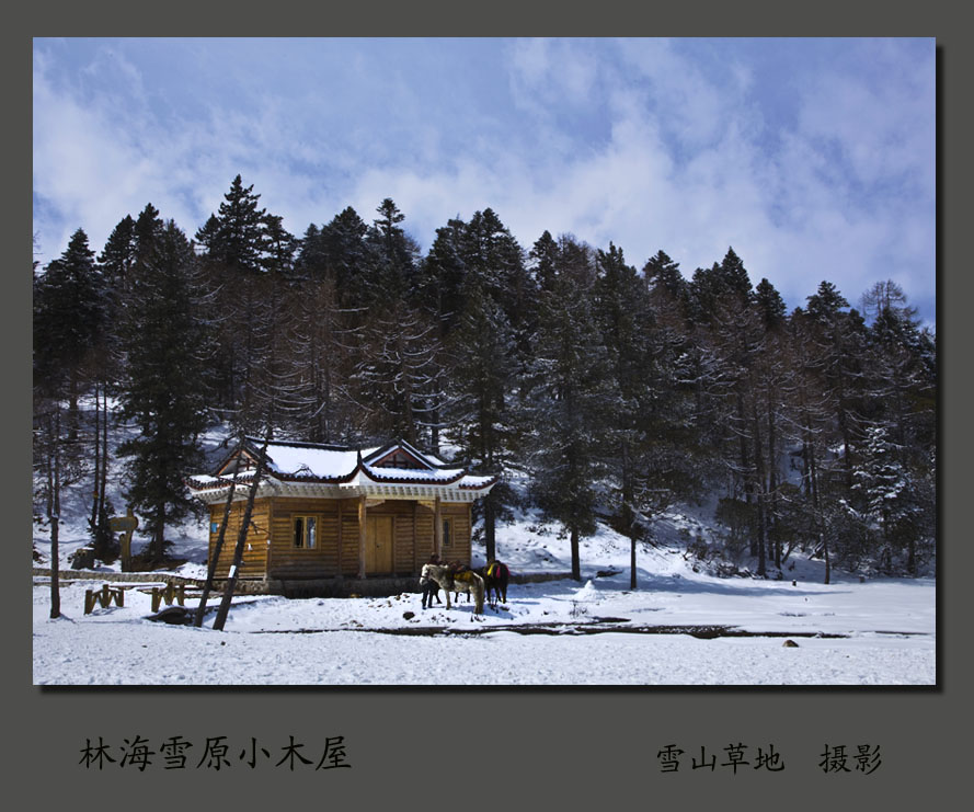 林海雪原小木屋 摄影 雪山草地