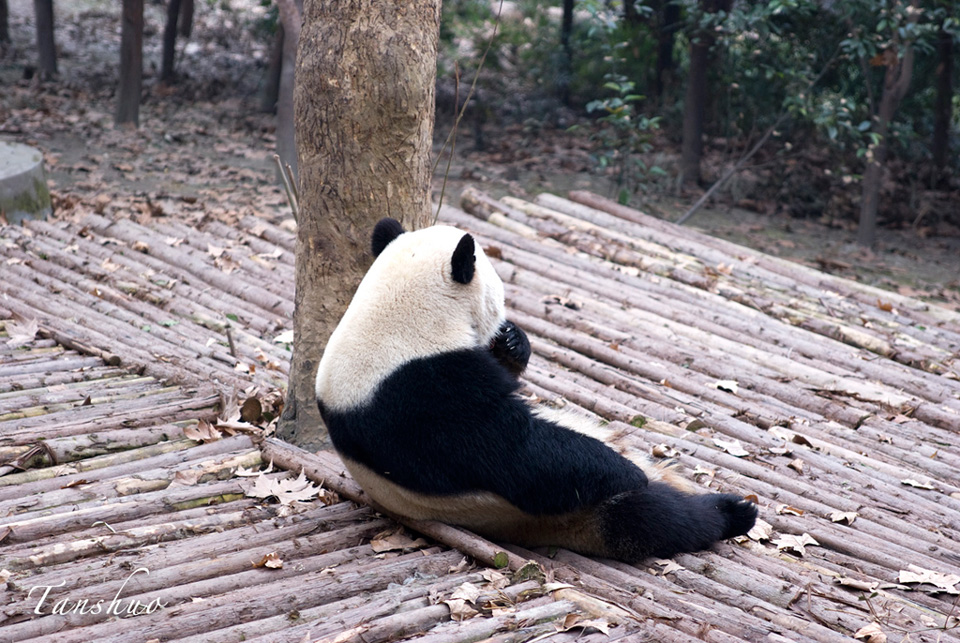 晚餐吃.... 摄影 福京數碼