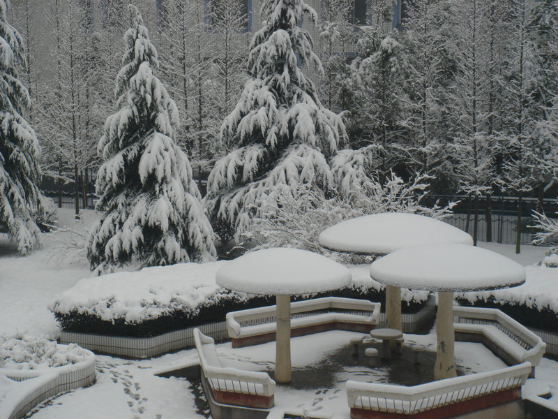 屋前雪景 摄影 仙人树