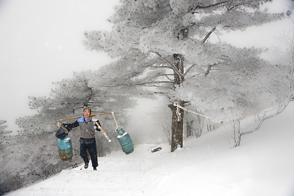 飞雪当歌 人生几何 摄影 qycq