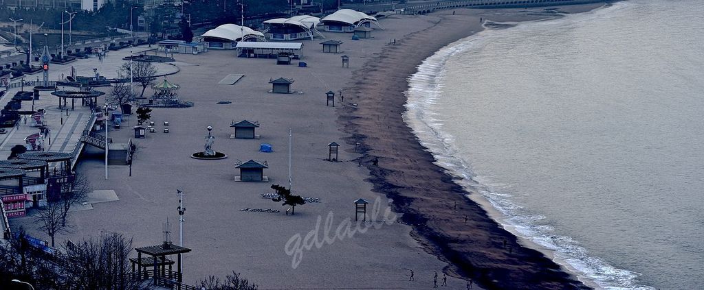 清晨的海滨 摄影 qdzp