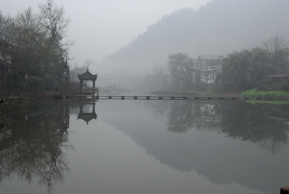 烟雨柳江 （5） 摄影 花开我先知