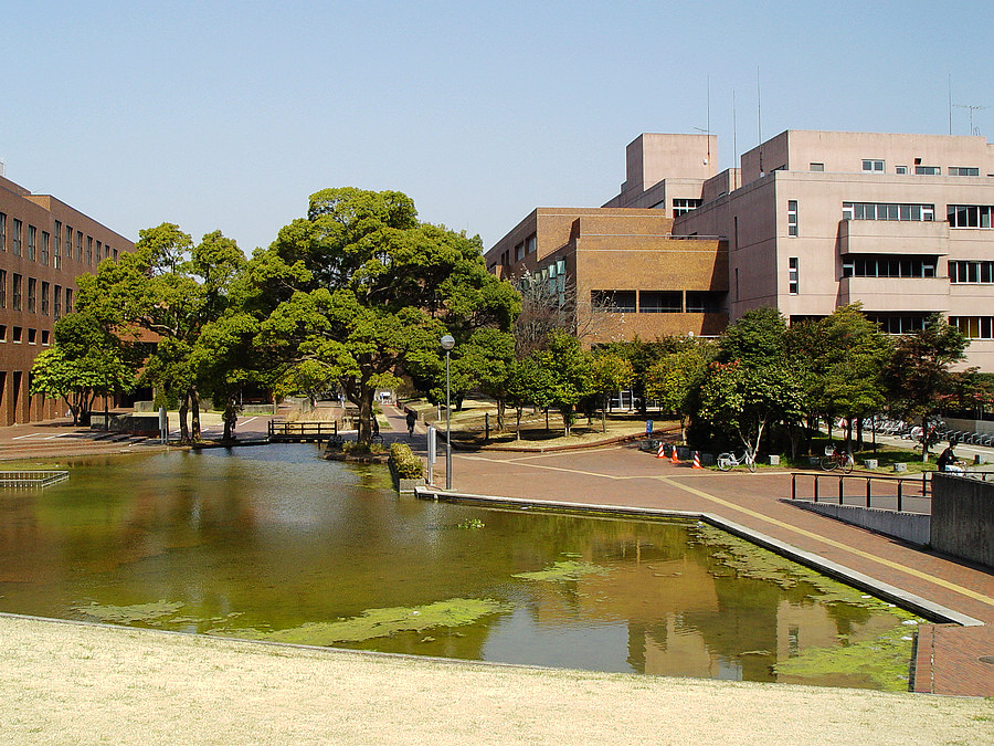 日本筑波学园都市5前天那里又余震 摄影 老知青刘琪