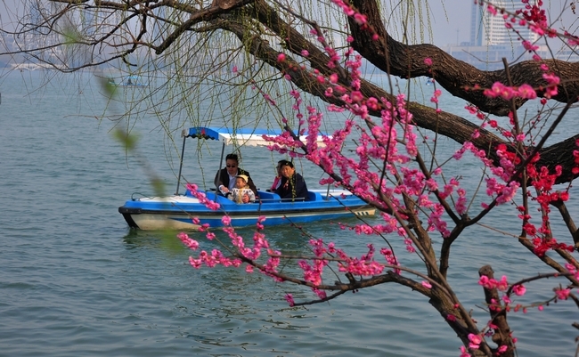 探春 摄影 看看大海