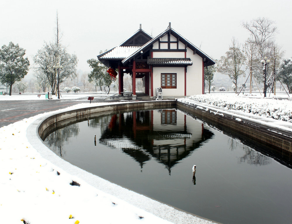 长沙大雪 摄影 矫寒