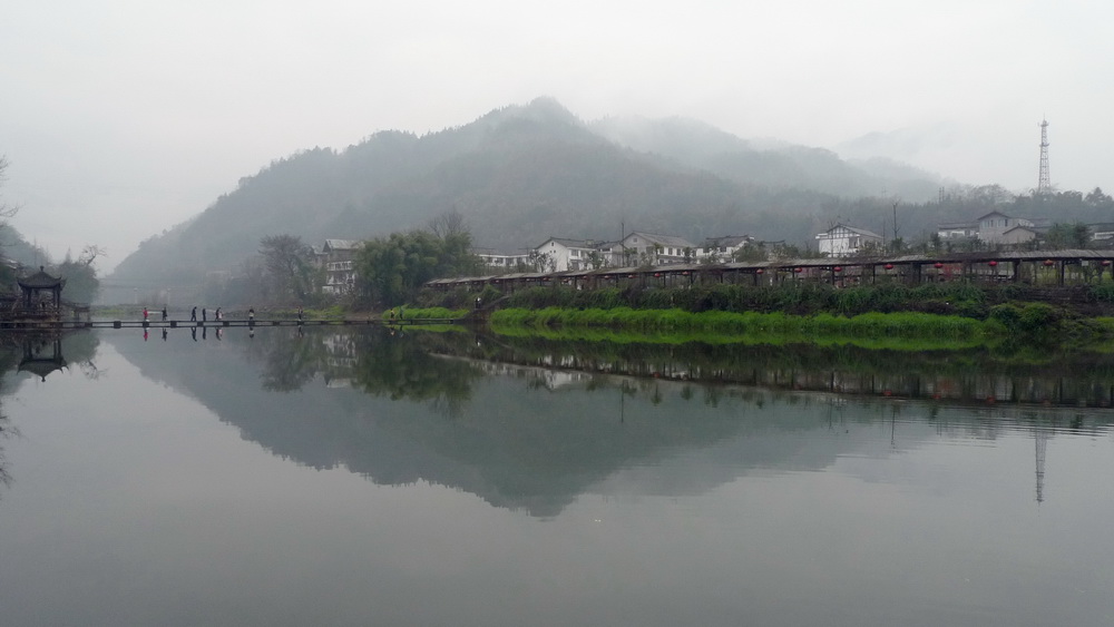 烟雨柳江 （6） 摄影 花开我先知