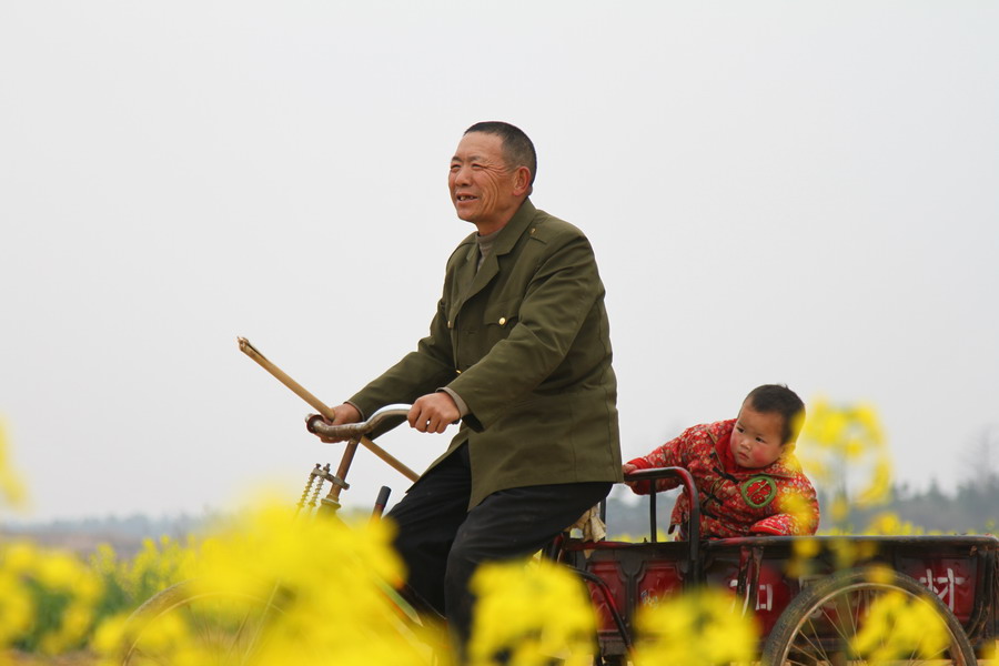 回家 摄影 冠头领