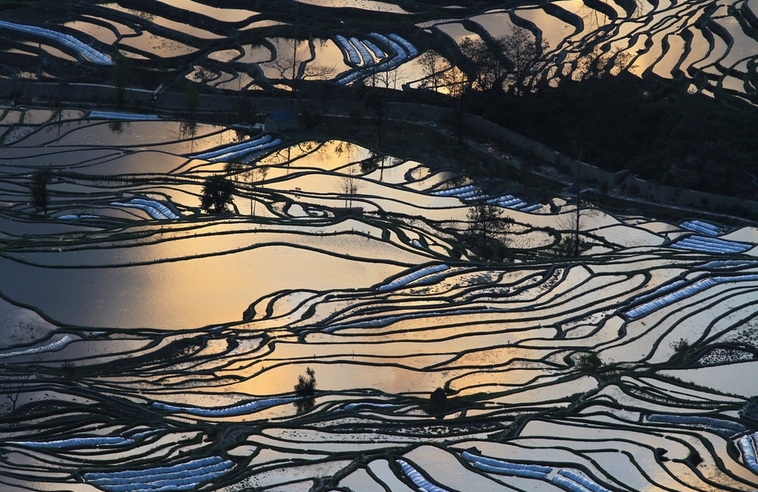 元阳梯田 摄影 冷花飘雪