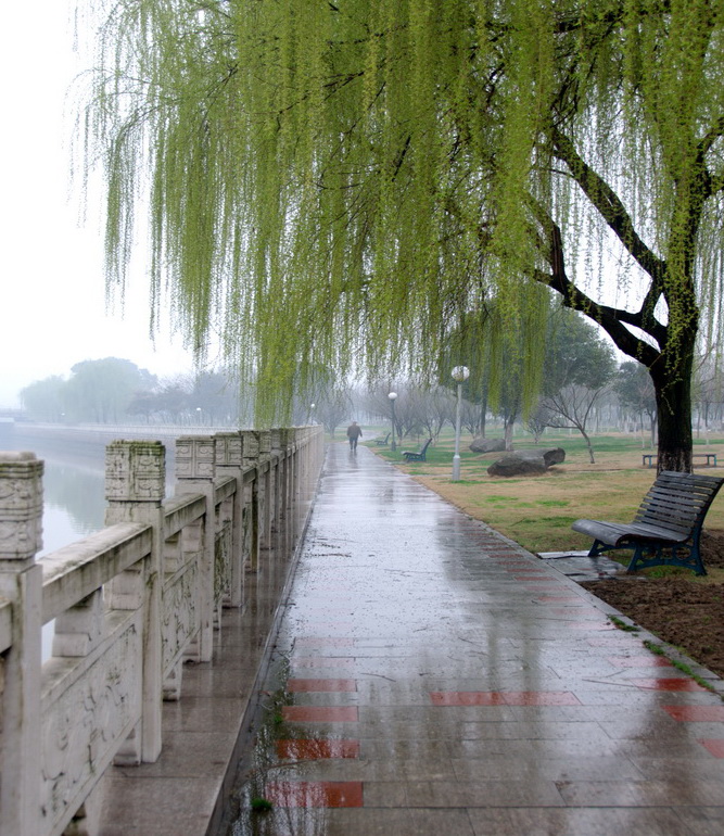 春雨小憩的那一刻 摄影 烟猫